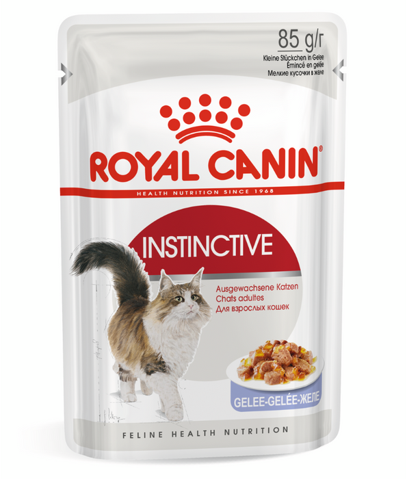 Royal Canin Wet Cat Food Instinctive Jelly 85g