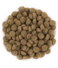 Avantis Pet - Original With Pork for Adult Dog 3kg-15kg Dog Food