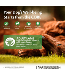 Wellness Core Adult Lamb All Breed 10kg Dog Food