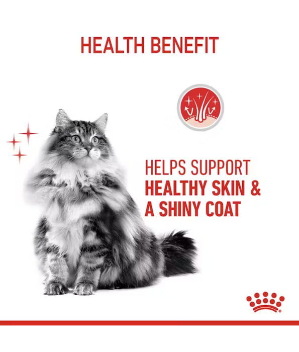 Royal Canin - Hair & Skin Pouch Cat Food In Jelly 85g