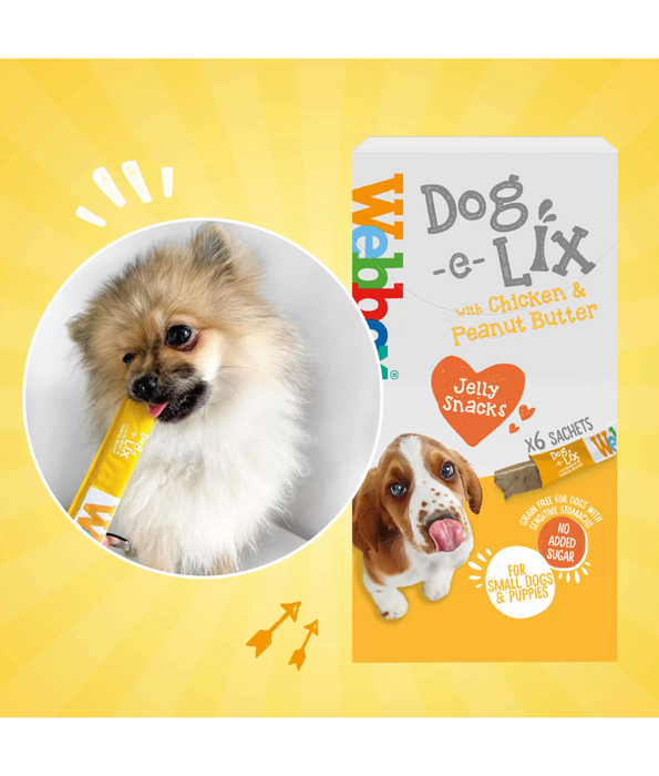 Webbox Dog e Lix with Chicken & Peanut Butter Creamy Dog Treats 90g