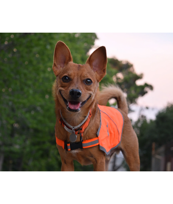 Alcot – Yellow Visibility Dog Vest