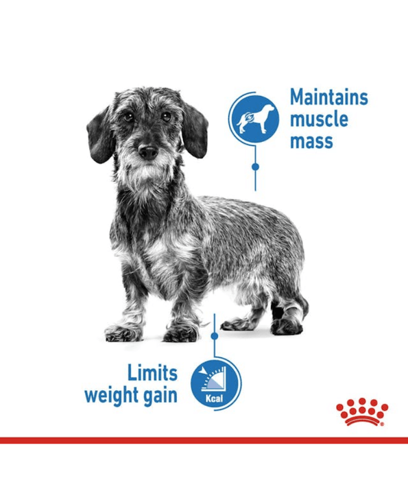 Royal Canin Royal Canin Mini Light Weight Care 3kg