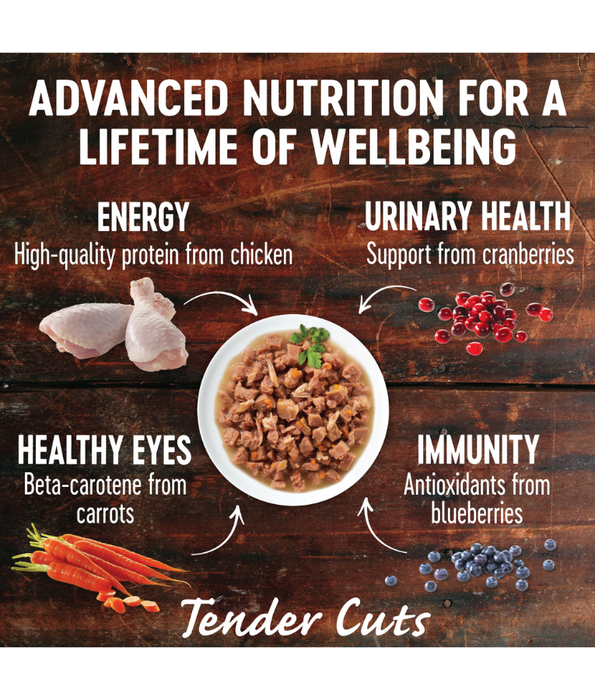 Wellness CORE Tender Cuts Chicken & Chicken Liver in Savory Gravy 85g