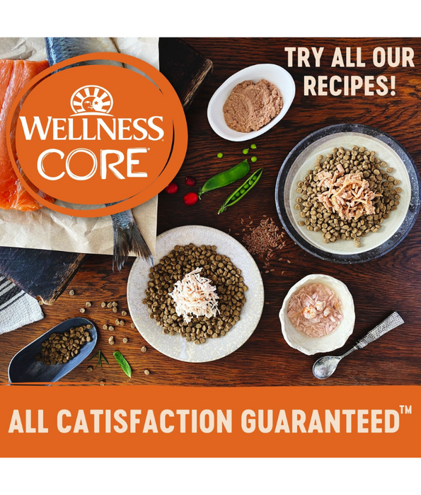 Wellness CORE Tender Cuts Tuna in Savory Gravy 85g