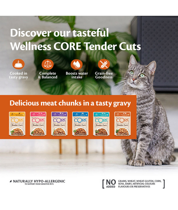 Wellness CORE Tender Cuts Tuna in Savory Gravy 85g