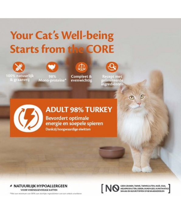 Wellness Core 98% Turkey - 85g