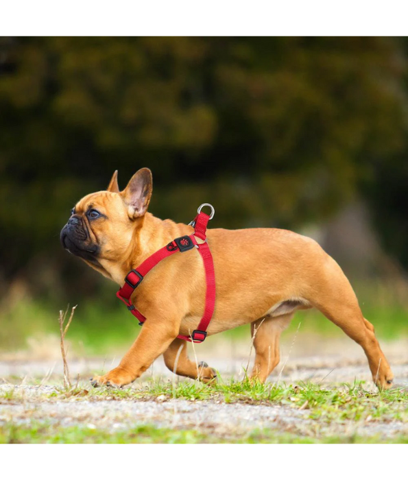 Doco - Signature Step-In Turquoise Dog Harness