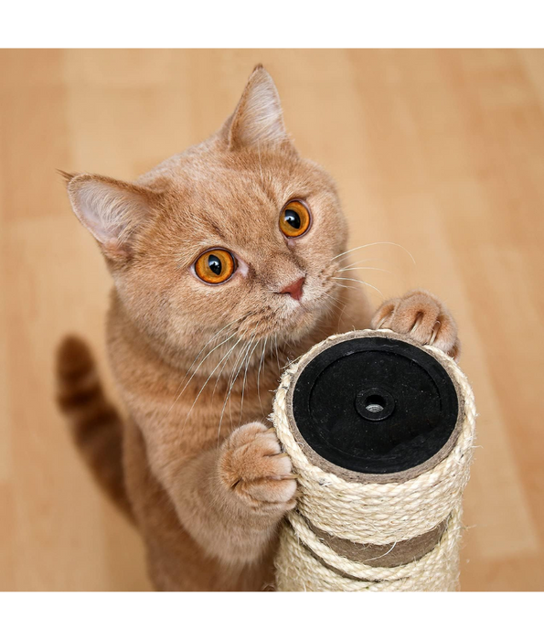 Trixie - Cat Scratching Sisal Post on a Board - 50cm