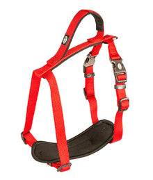 Duvo - EXPLOR NORTH Dog Harness - Red Leashes & Collars