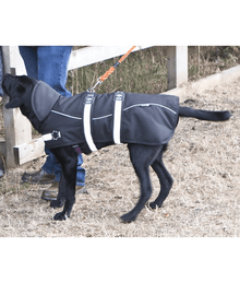 Animate Harness Dog Water Proof, Wind Proof Coat 45cm-50cm Leashes & Collars