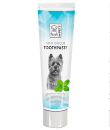 Mint Flavor Toothpaste 100g Grooming