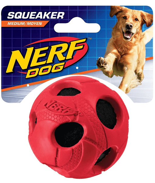 Nerf dog ball online