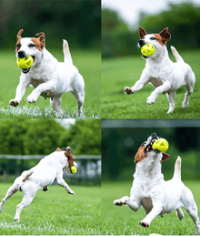 SKIPDAWG - Dog Breezy Ball Pack of 2 Dog Toys