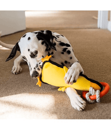 GiGwi Iron Grip Duck Plush Tug Toy with TPR Handle Dog Toys