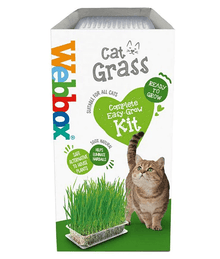 Webbox - Cat Grass Cat Treats